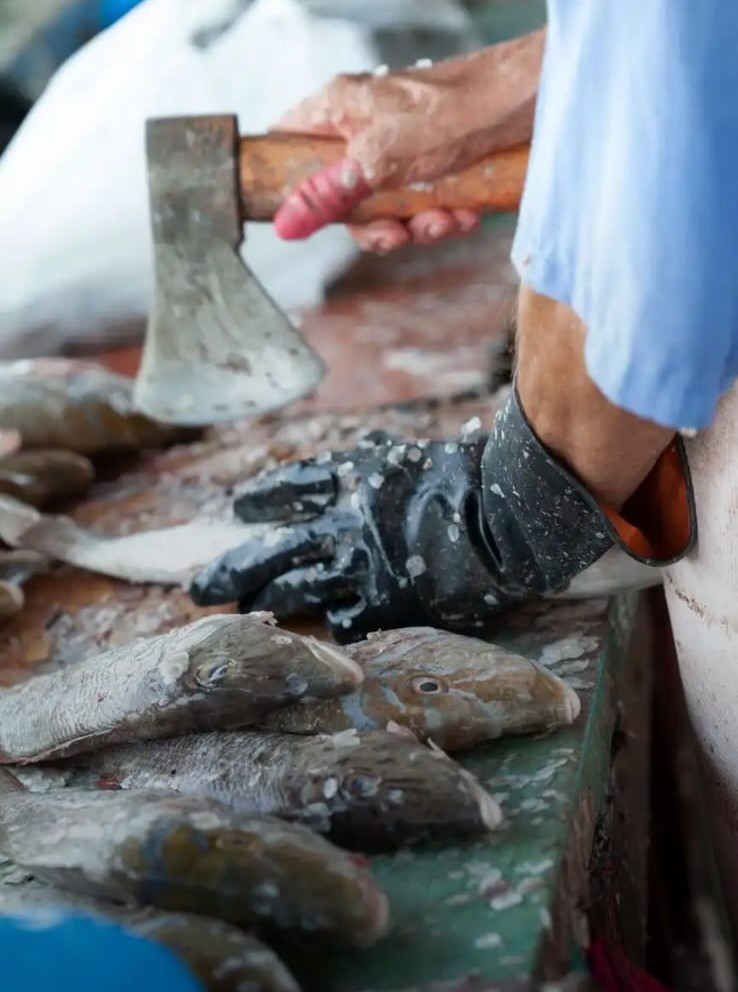 two-oceans-fish-wholesalers-fresh-fish